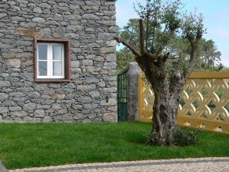 Villa Colina Da Faja Fajã da Ovelha Exterior foto